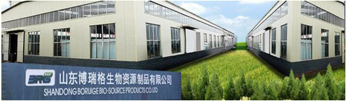 ɽ�������������